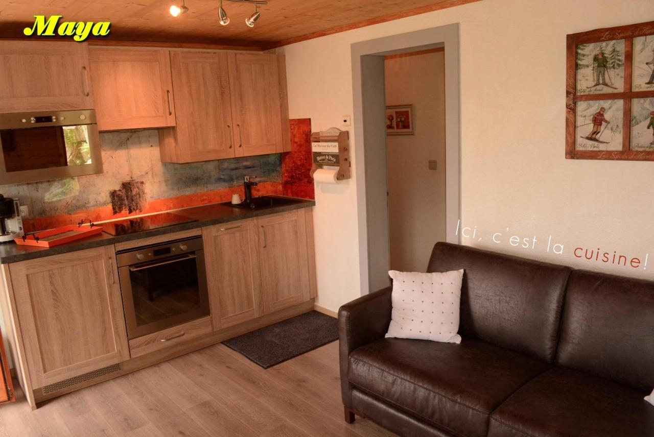 Appartements 5 Personnes Maya Et Louna Xonrupt-Longemer Zewnętrze zdjęcie