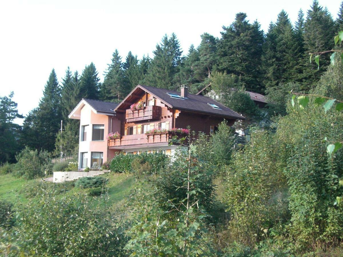 Appartements 5 Personnes Maya Et Louna Xonrupt-Longemer Zewnętrze zdjęcie