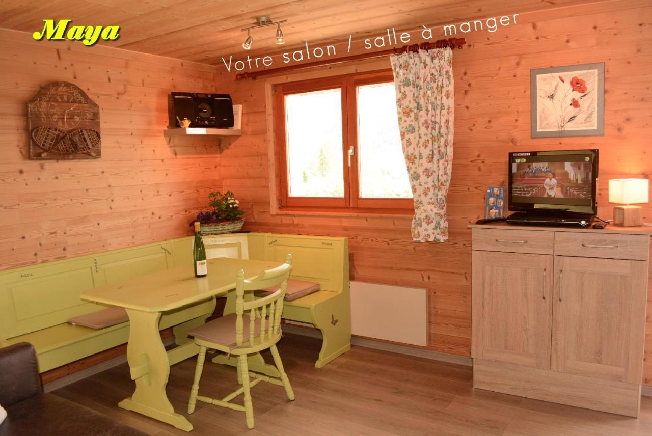 Appartements 5 Personnes Maya Et Louna Xonrupt-Longemer Zewnętrze zdjęcie