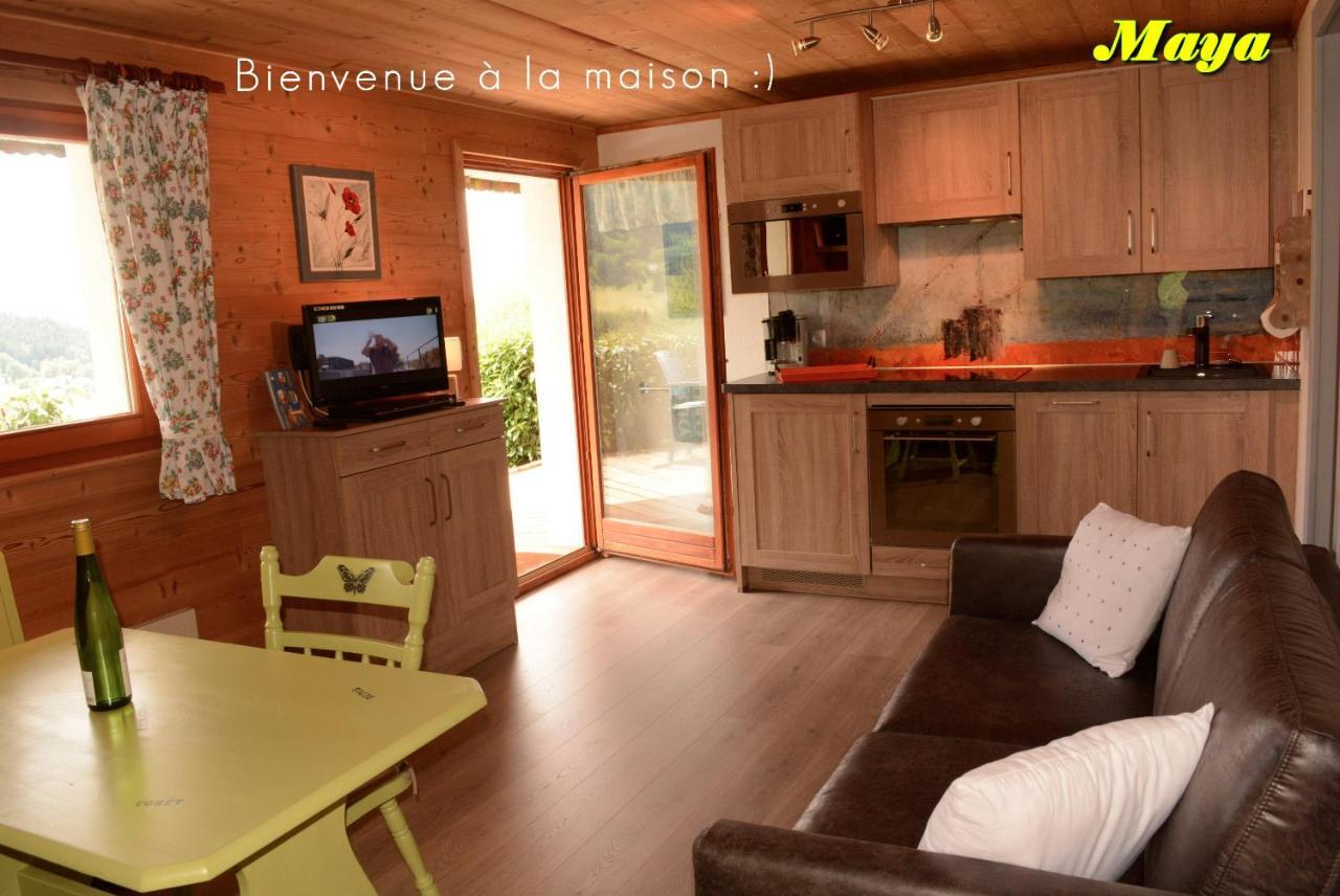 Appartements 5 Personnes Maya Et Louna Xonrupt-Longemer Zewnętrze zdjęcie